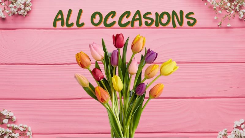ALL OCCASIONS