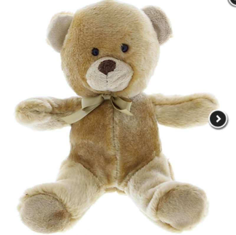 Brown Teddy Bear