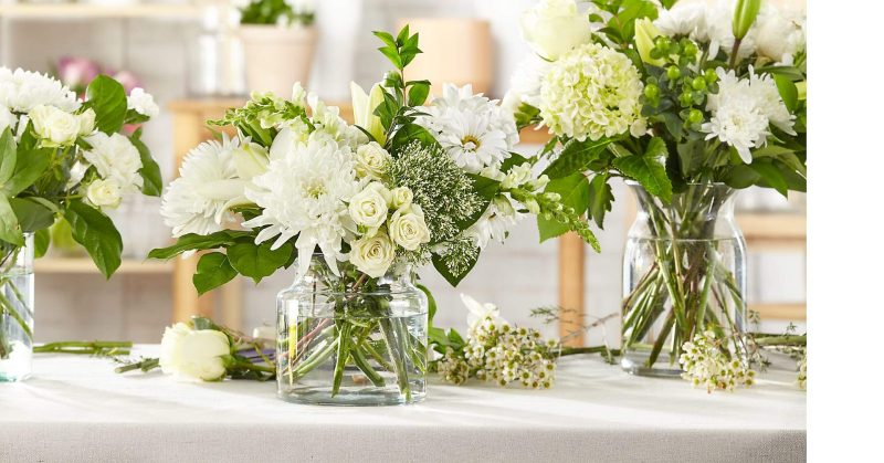 Classic Ivory