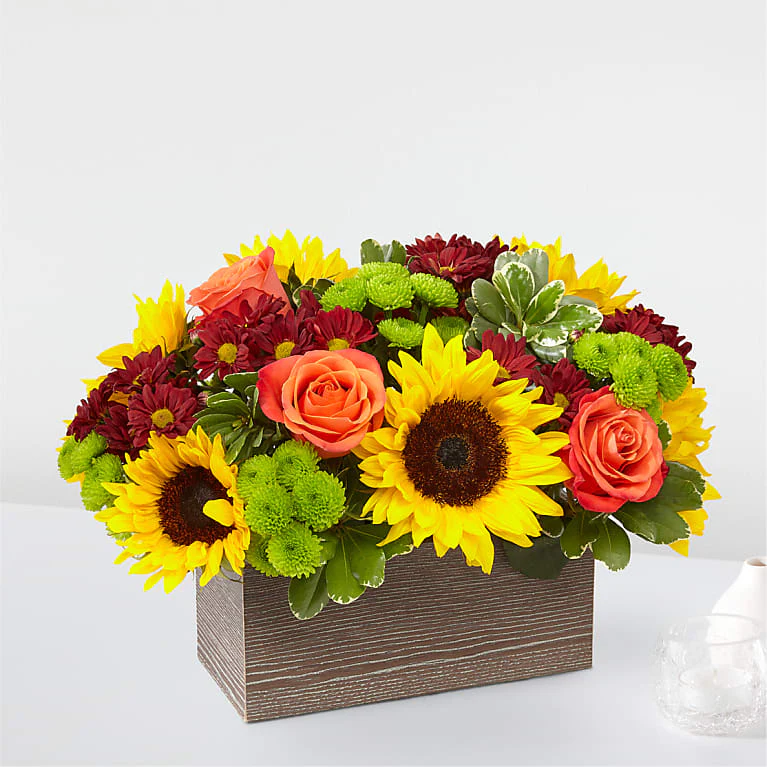 Happy Harvest Garden - Image 2