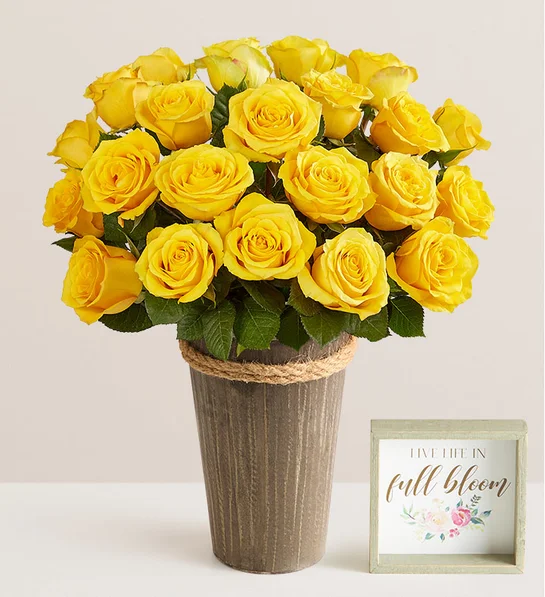 Yellow Roses