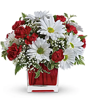 Red And White Delight - Image 2