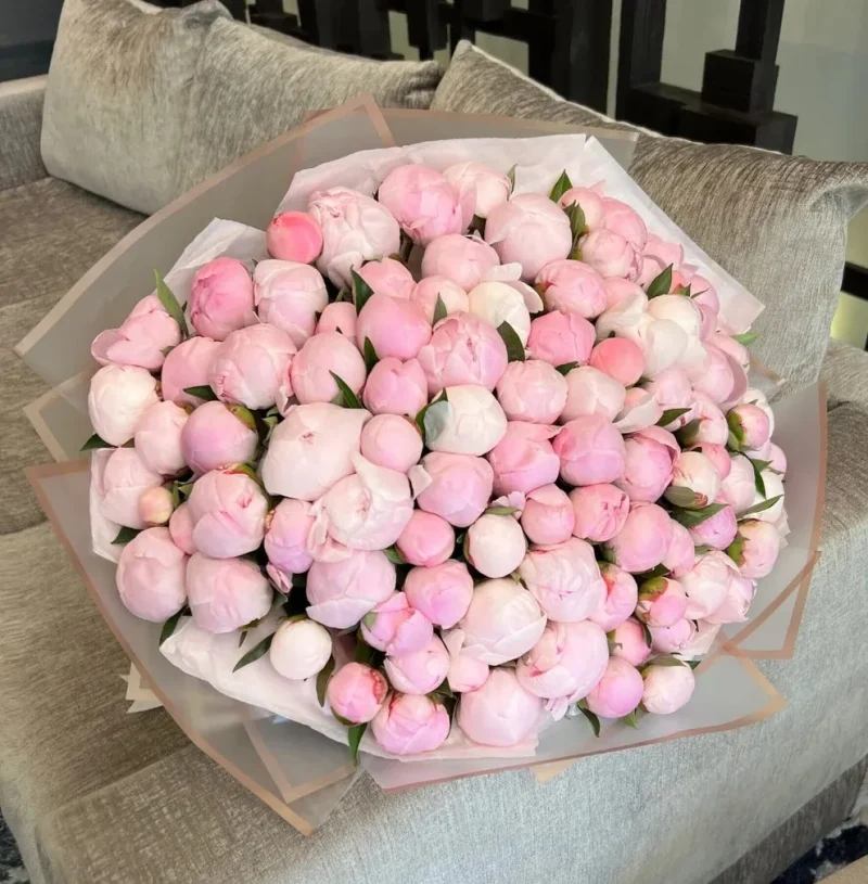100 Pink Peonies